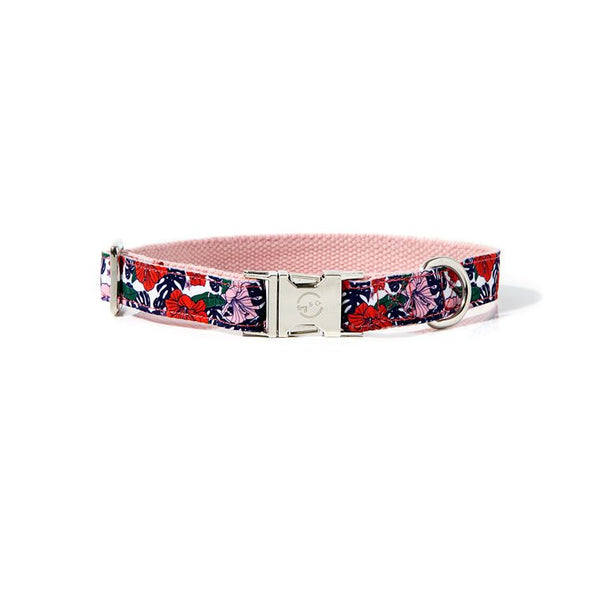 Roxy Floral Dog Collar
