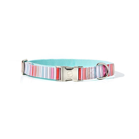 Brandi Stripe Dog Collar- Medium